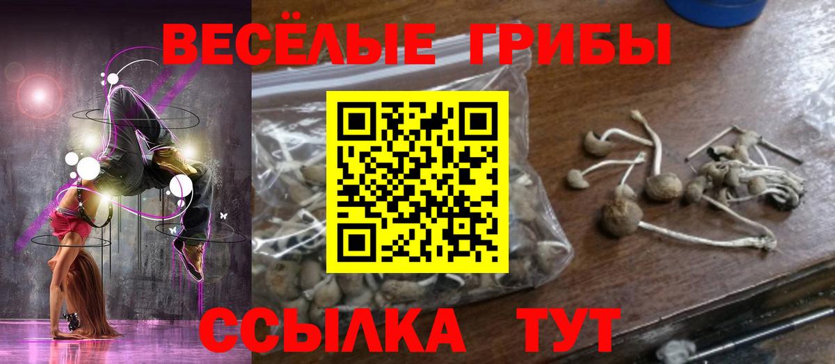 Астрахань  Псилоцибиновые грибы мухоморы  Вход с VPN 